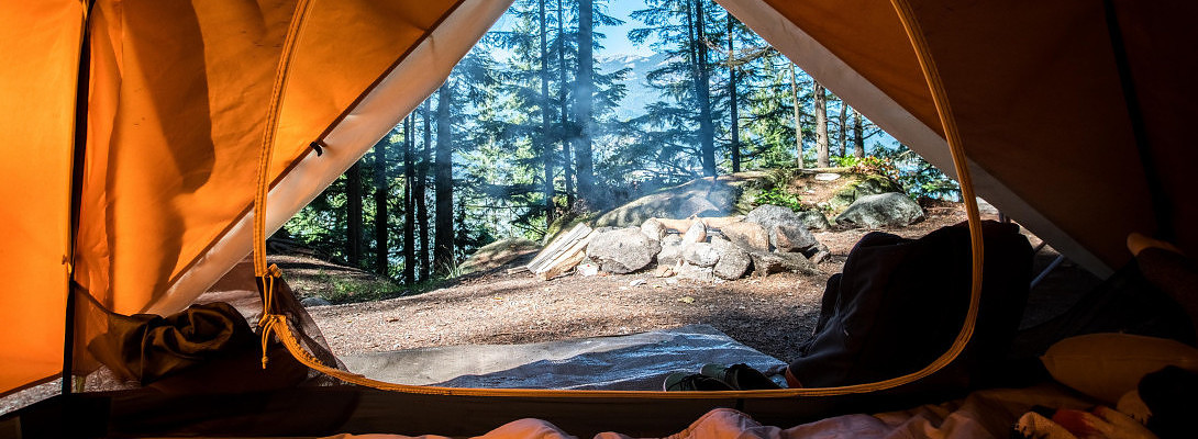 Level 1 Lesson 3 (OEC Course Revisited) - Choose Your Niche (with Additional Tips)