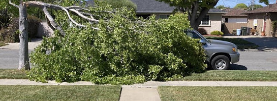 Timing is Everything.