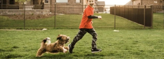 My Grandson is Wise.