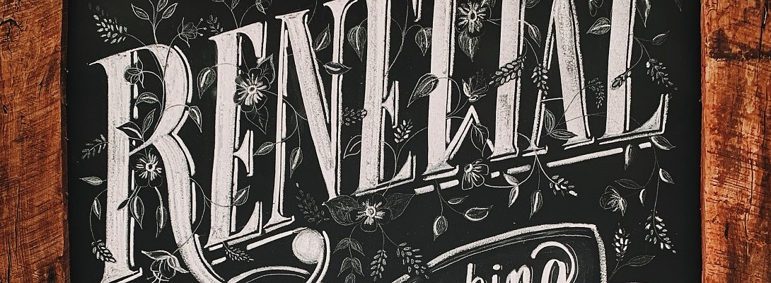 Renewal Date, Black Friday!