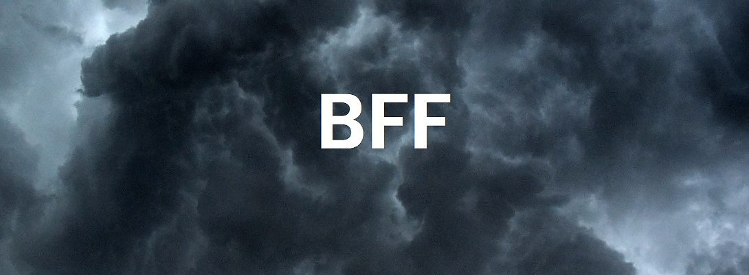 Want To Get Some Black Friday Conversions? Use My BFF!