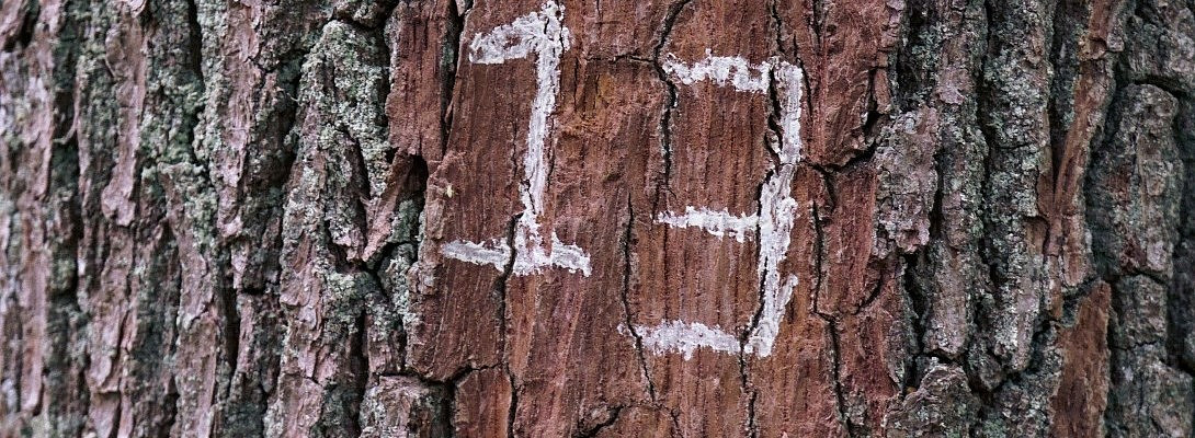 My Thirteenth Task: $50,000 a Month Case Study