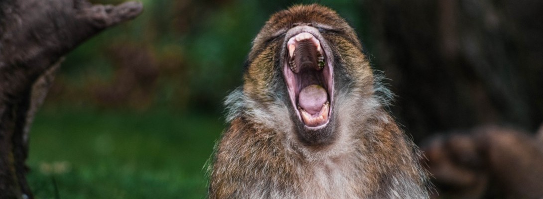 Are you pontificating?