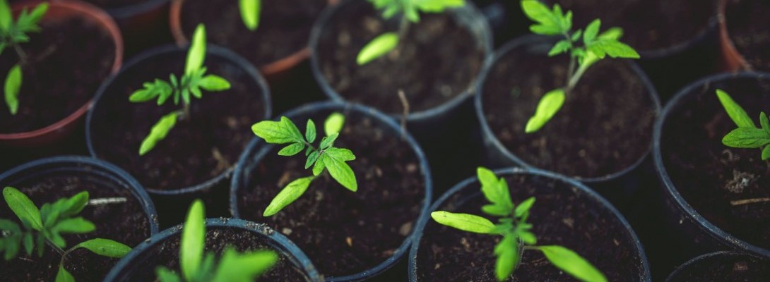 This post will help the newbies!