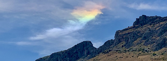 Gratitude for the Journey!