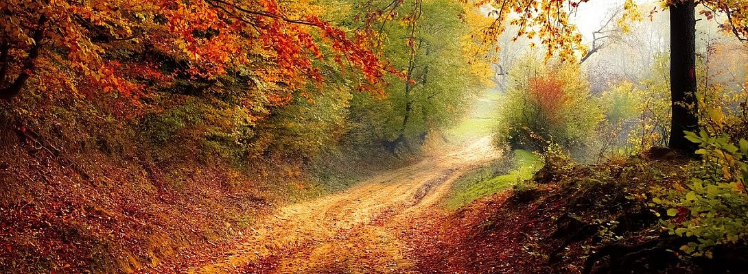 The Best of the Best