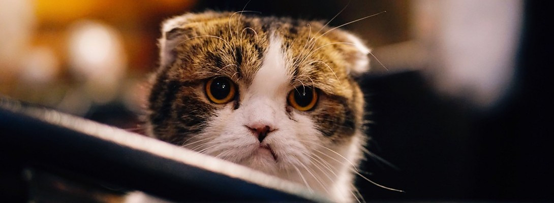 What to Do When People Get Sick and Tired of You