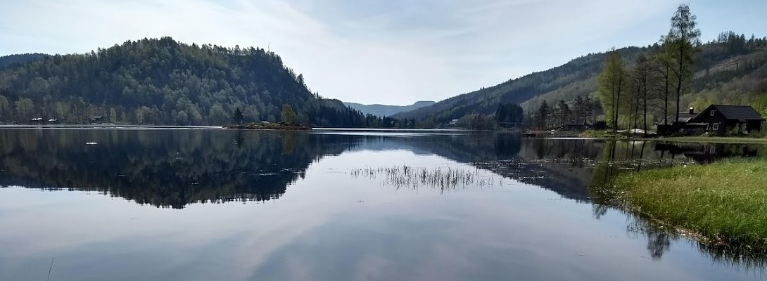 Steven's SWAG April 2019 Report