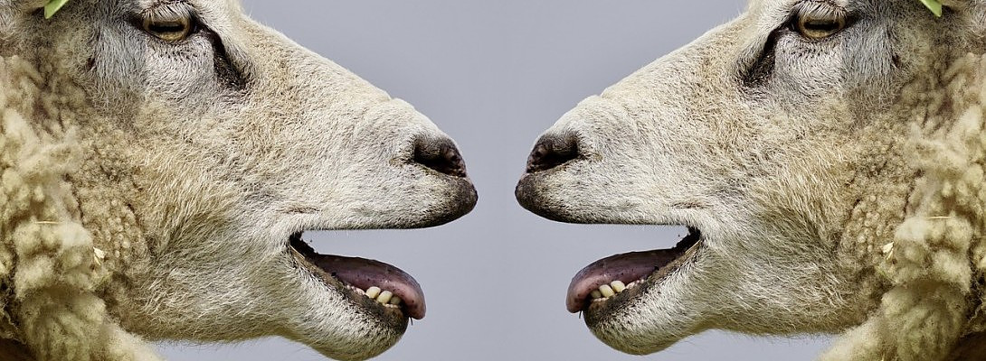 I have succeeded. One small step for my website, one giant step for me