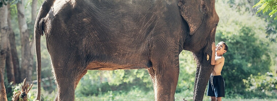 Chat GPT users, What Did You Google Last Week?