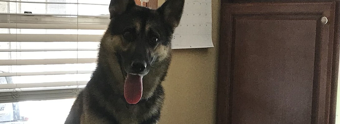 Good Habits to Bad Habits?