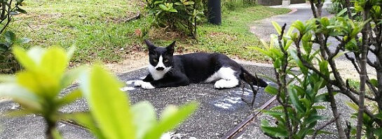 To the Food Court, the Lovely Views and, oh yeah, Work