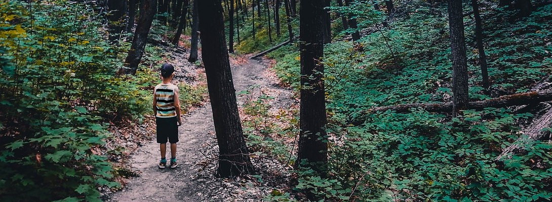 I need a little help finding my niche (I feel kinda lost)