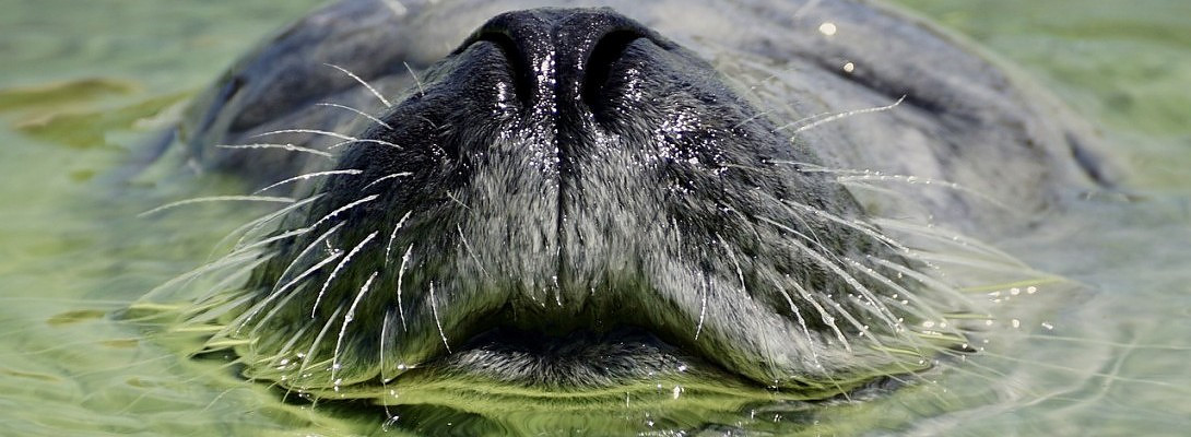 Immerse yourself in your business!