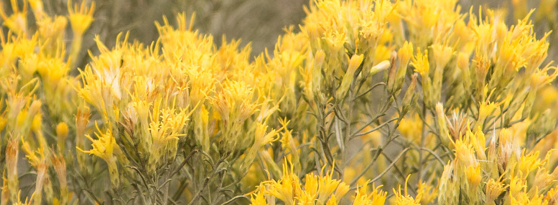 Refresher. Where should I start