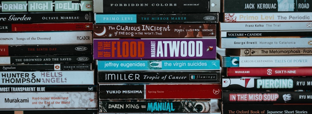 Officially starting an amazon book niche website!