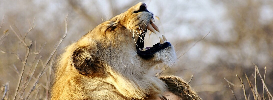 It's happy time again!