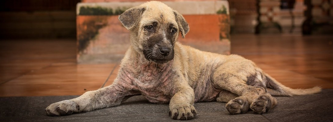 Some issues seems elusive