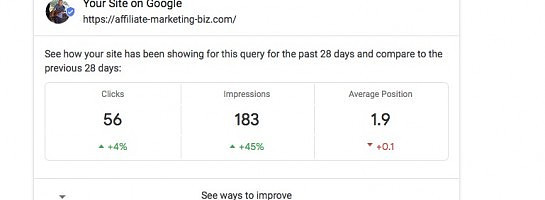 Google Adds Site Rank & Suggestions to Help You Rank Better