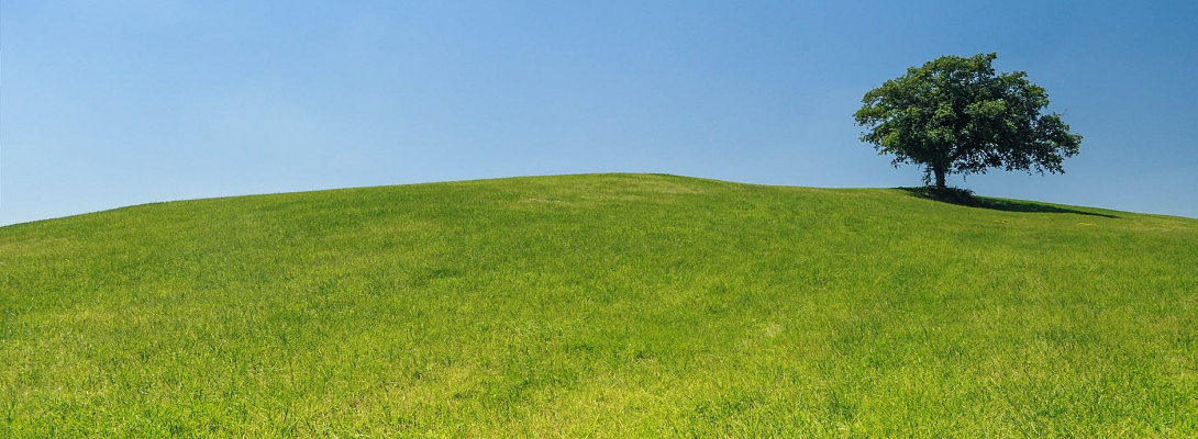 3 Tips For Getting Over The Three Month Hump