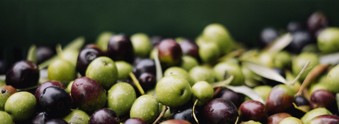 Money Grows On (Olive) Trees