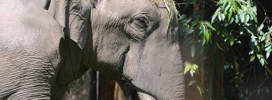 40x Your Website Earnings For A Million Dollar Payday