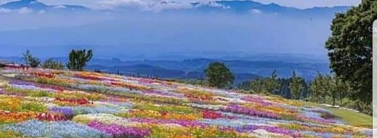 Spring, Inspiration for Regeneration.