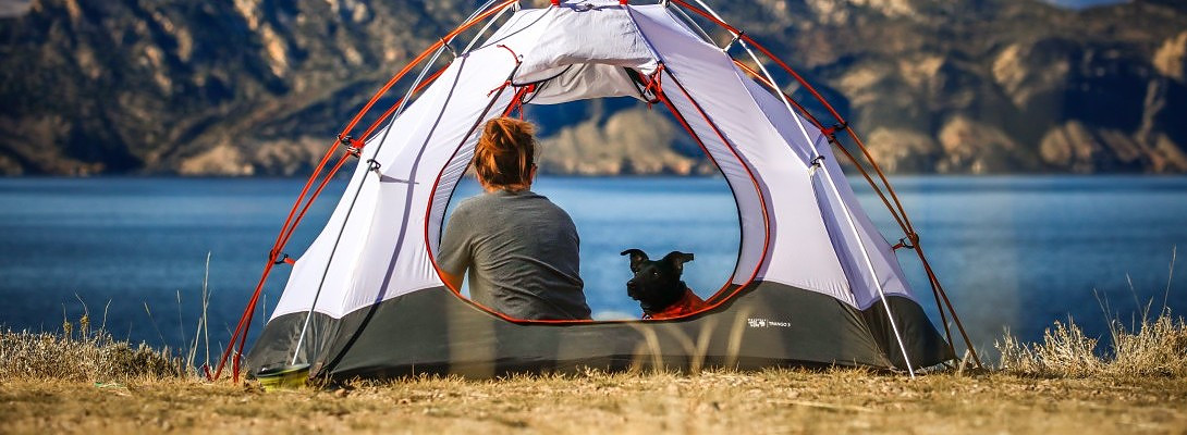 Part time work from home while camping in the rain