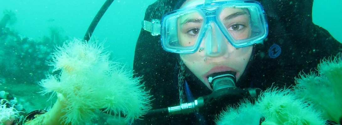 Created a new website, Wait That's 2 Wealthy Affiliate Promo Sites!