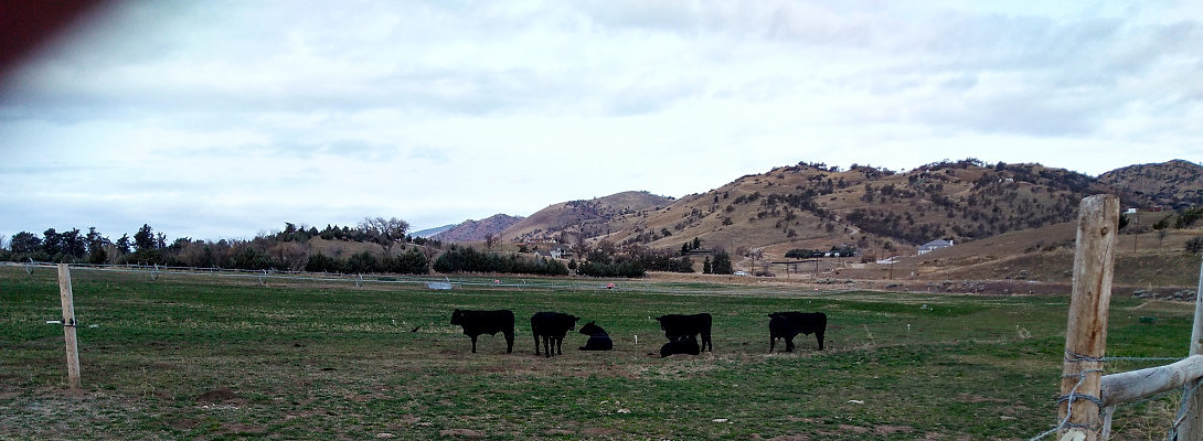 My Make Money Blog on Pinterest