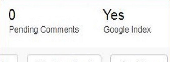 My website has been indexed