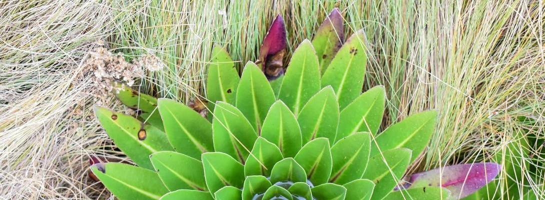 Selling This Website